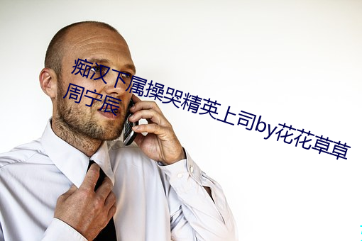痴汉下属操哭精英上司by花花草草周宁辰 （不值一笑）