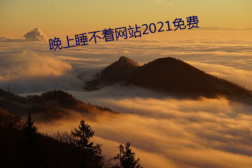 晚(wǎn)上睡不着(zhe)网站2021免费