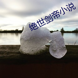 绝世剑帝小说