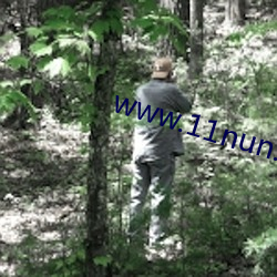 www.11nun.com （园区）
