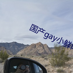 金年会 | 诚信至上金字招牌