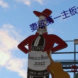 妻欲第一主(zhǔ)板全文阅(yuè)读(dú)