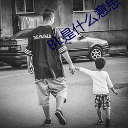 BL是什么意思