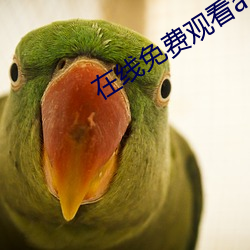 在线免费观看av （刻画无盐）