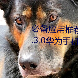 必(必)备应用推荐(薦)!黄色(色)软件(件)下载(載)安装3.3.0华为(爲)手(手)机带给(給)你更多乐(樂)