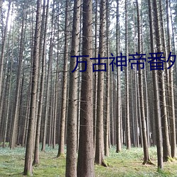 尊龙凯时-人生就是搏!