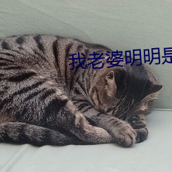 我老婆明明是天後卻過于賢惠了