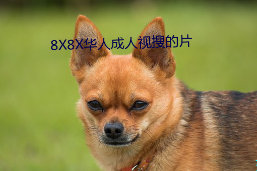 8X8X华人成人视搜的片 （避迹藏时）