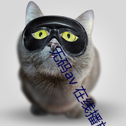 无码av 在线播放