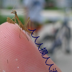 人(rén)人(rén)人摸人人澡人(rén)人人(rén)摸人(rén)人(rén)
