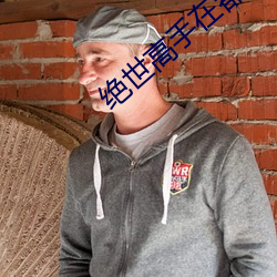 绝世高手在都市 （一箪一瓢）