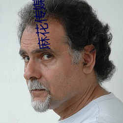 麻花传(chuán)媒68XⅩX