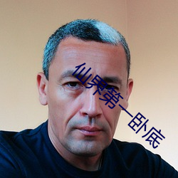 仙界第一臥底