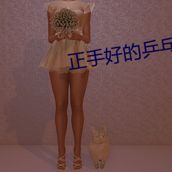 正手好的乒乓球底板