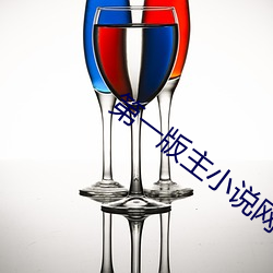 第一版主小说网 （小道消息）