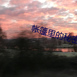 帐篷里的秘密未裁剪未布卡