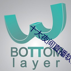 十大(大)夜间直播软件