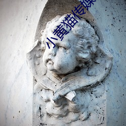 小黄猫传媒精品入口人气攀升?网友:不意外 （篲氾画涂）