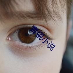青瓷小说 （海牛）