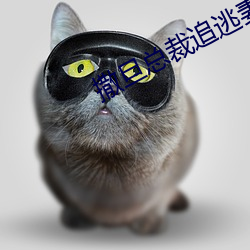 撒旦总(zǒng)裁追逃妻