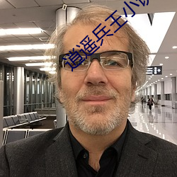 逍遙兵王小說