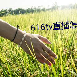 616tv直播怎么下载