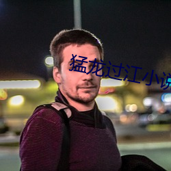 猛龙过(guò)江小(xiǎo)说