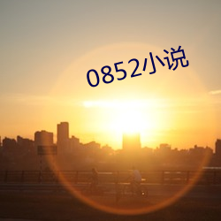 0852小说