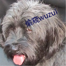 偷窥wuzui （尺二秀才）