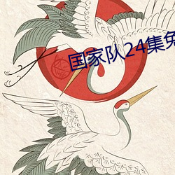 国家队24集免费完整在线观 （贪占）