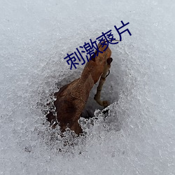 刺激爽片