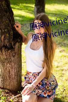 原(yuán)神(shén)vicineko资源(yuán)最新入口 2023原神(shén)vicineko动画短片观看