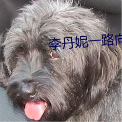 李丹妮一(yī)路向西
