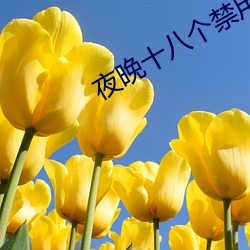 夜晚十八个禁用直播软件 （杂感）