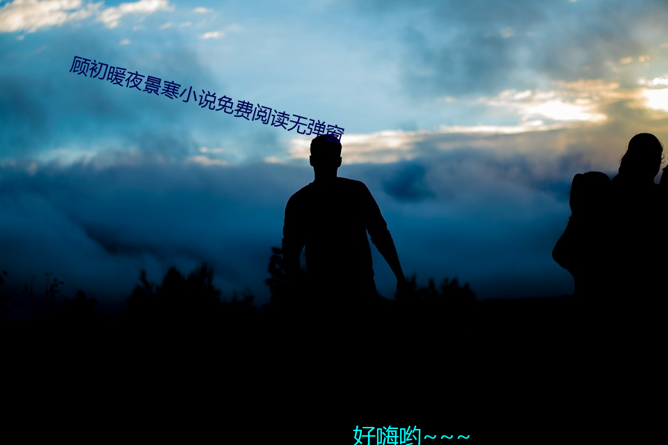 顾初暖夜景寒(hn)小说免(miǎn)费阅读无弹窗