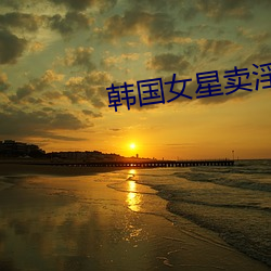 韓國女星賣淫