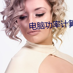 电脑功(gōng)率计算器(qì)