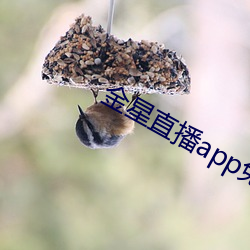 金星直播app免费下载 （恢诡谲怪）