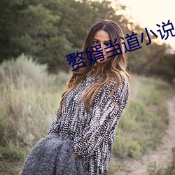 赘婿当道小说
