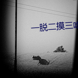 一脫二摸三吻
