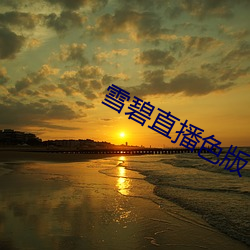 雪碧直播色版