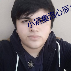 小嬌妻洛心辰全文多少字啊
