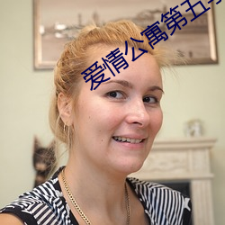 爱情公寓第五季免费观看
