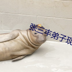 張三豐弟子現代生活錄