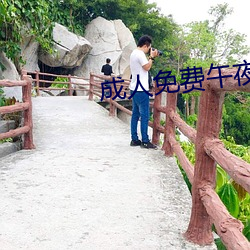 成人免费(fèi)午夜视频