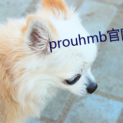 prouhmb官网