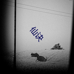 仙诀(jué)
