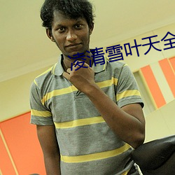 凌清雪叶天全(quán)文免费阅(yuè)读