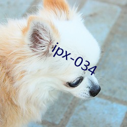 ipx-034 （电话亭）