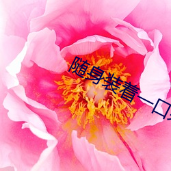 随身装着一口泉